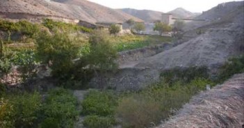 مردم گیزاب خواستار پیوستن دوباره به ولایت دایکندی شدند