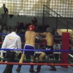 alizada4