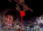 hazara.it
