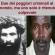 criminale internationale