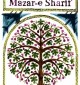 Mohammadi_copertina255x399