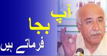آپ بجا فرماتے ہیں ۔