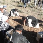 Killed by Kuchi Taliban