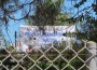 HAZARAS IN DARWIN DETENTION BEGIN STRIKE ON ROOF HAZARAS IN DARWIN DETENTION BEGIN STRIKE ON ROOF