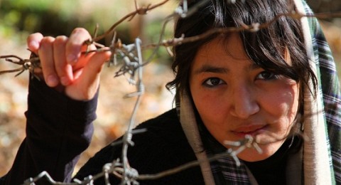 Mona haidari